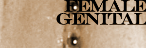 Female Genital